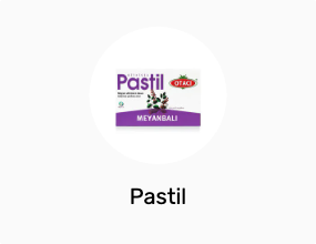 Pastil