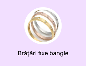 Brățări fixe bangle