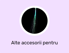 Alte accesorii pentru păr