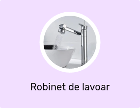 Robinet de lavoar