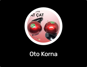 Oto Korna