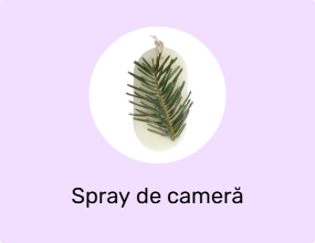 Spray de cameră