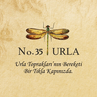No35Urla