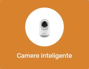 Cameră inteligentă