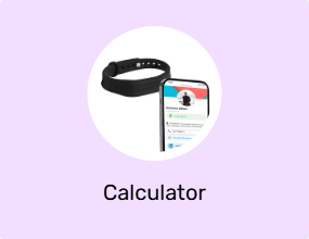 Calculator