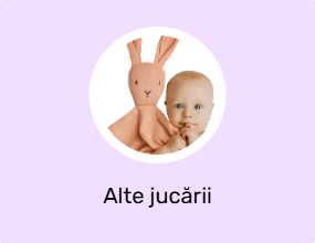 Alte jucării
