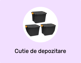Cutie de depozitare