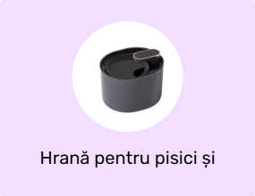 Hrană pentru pisici și recipiente pentru apă