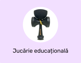 Jucărie educațională