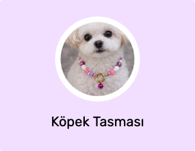 Köpek Tasması