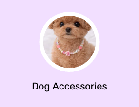 Dog Accessories