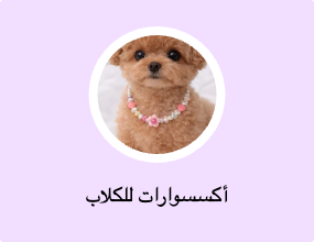 أكسسوارات للكلاب