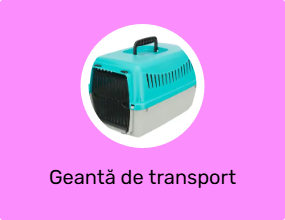 Pisica geantă de transport