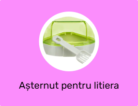 Pisica Litter