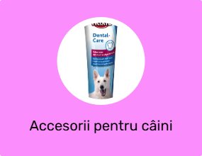 Accesorii pentru câini