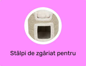 Pisica Scratching Posts