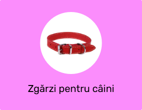 Zgărzi pentru câini