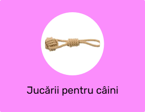 Jucării pentru câini