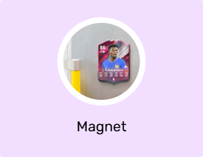 Magnet