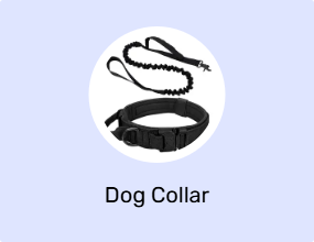 Dog Collar