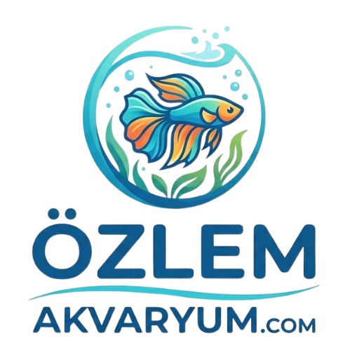 ÖZLEM AKVARYUM