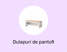 Dulapuri de pantofi