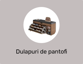 Dulapuri de pantofi
