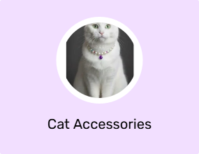 Cat Accessories