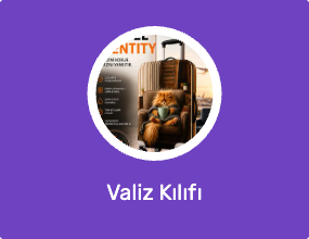 Valiz Kılıfı