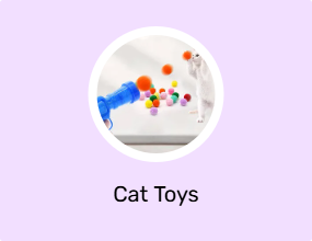 Cat Toys