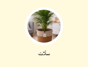 سلّات