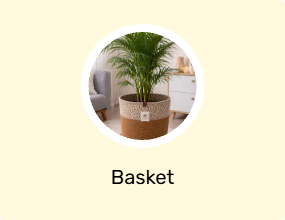 Basket