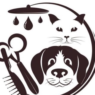 pisibu pet kuaför  pet shop
