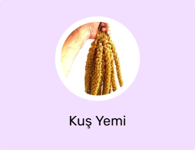 Kuş Yemi