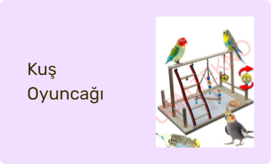 Kuş Oyuncağı