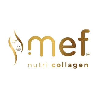 MEF Kolajen