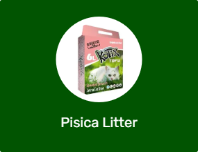 Pisica Litter