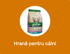 Hrană pentru câini