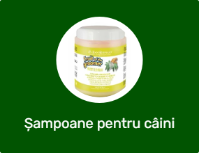 Șampoane pentru câini