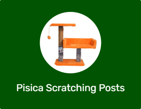 Pisica Scratching Posts