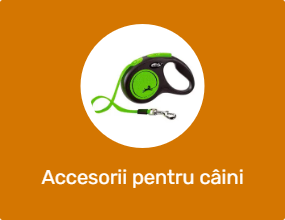 Accesorii pentru câini