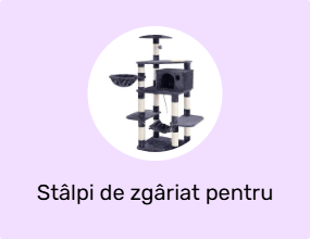 Stâlpi de zgâriat pentru pisici