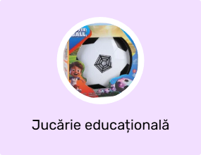 Jucărie educațională