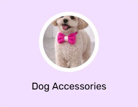 Dog Accessories