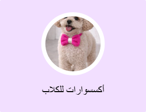 أكسسوارات للكلاب