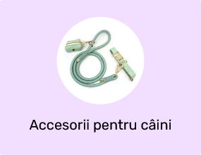 Accesorii pentru câini