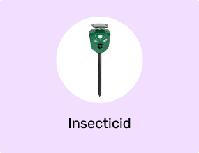 Insecticid