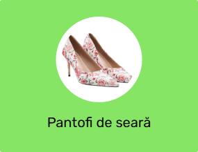 Pantofi de seară