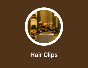 Hair Clips