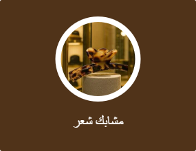 مشابك شعر